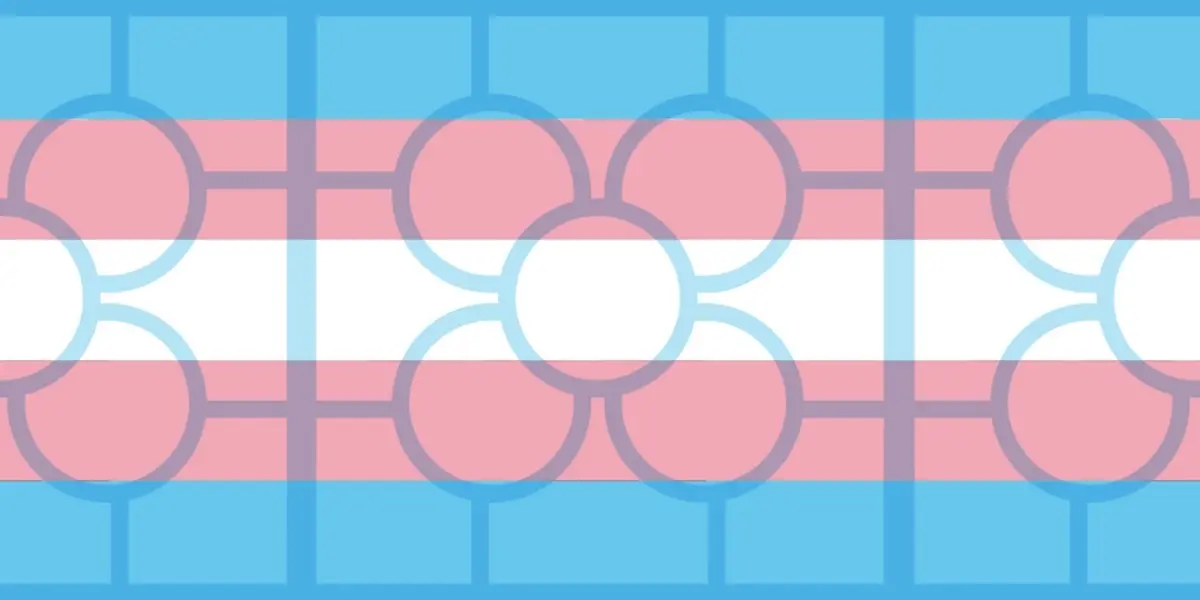 Baldosa d&iacute;a internacional de la visibilidad trans