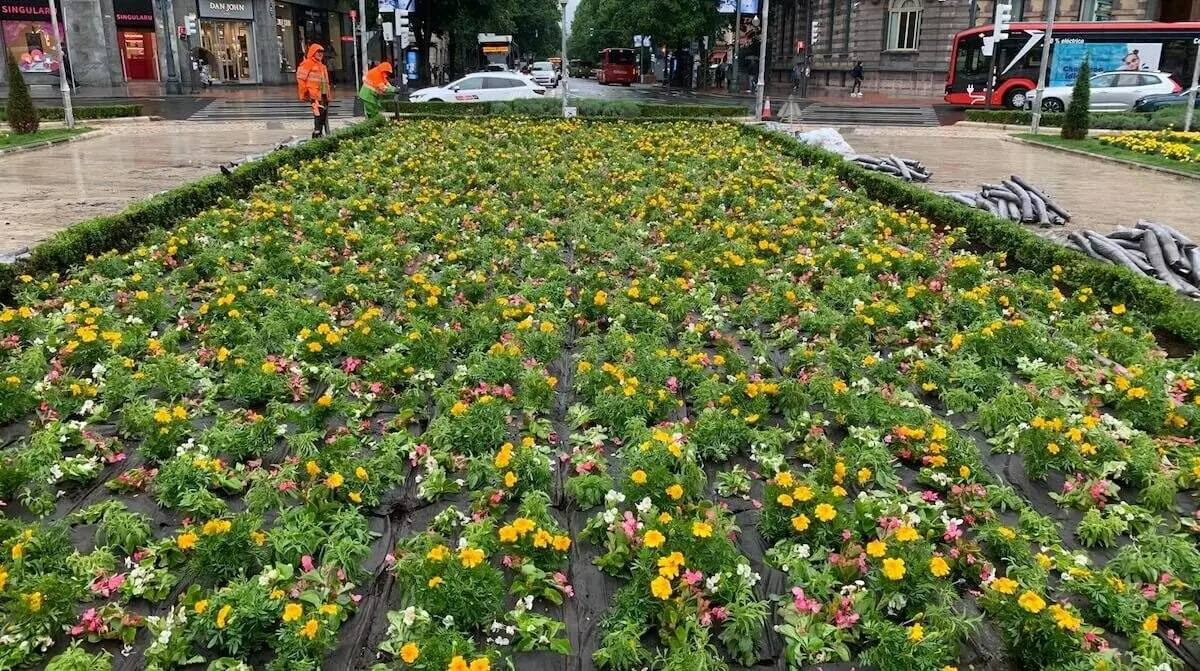 renovacion-jardines-plaza-moyua