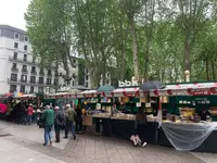 Dia del libro bilbao 3