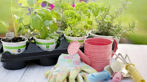 Mejores tiendas de jardiner&iacute;a en Bilbao y alrededores