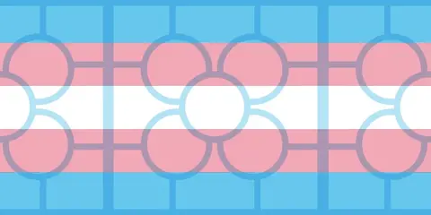 Baldosa d&iacute;a internacional de la visibilidad trans