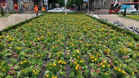 renovacion-jardines-plaza-moyua