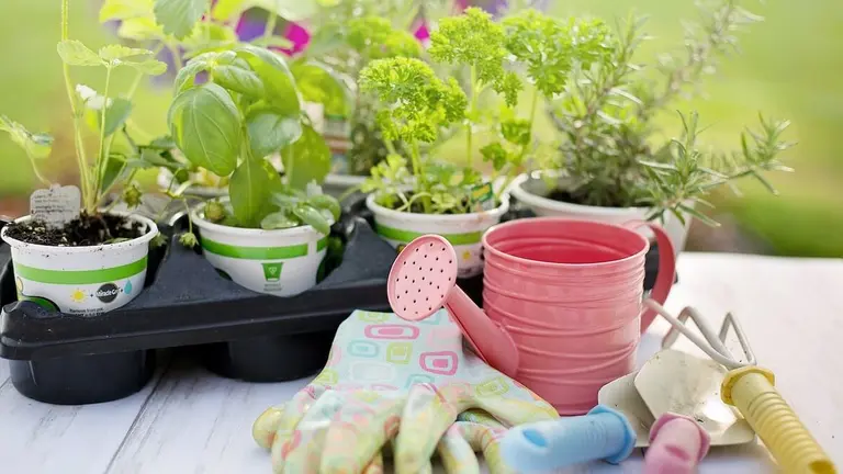 Mejores tiendas de jardiner&iacute;a en Bilbao y alrededores