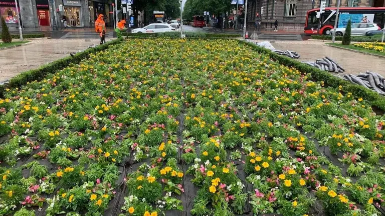 renovacion-jardines-plaza-moyua